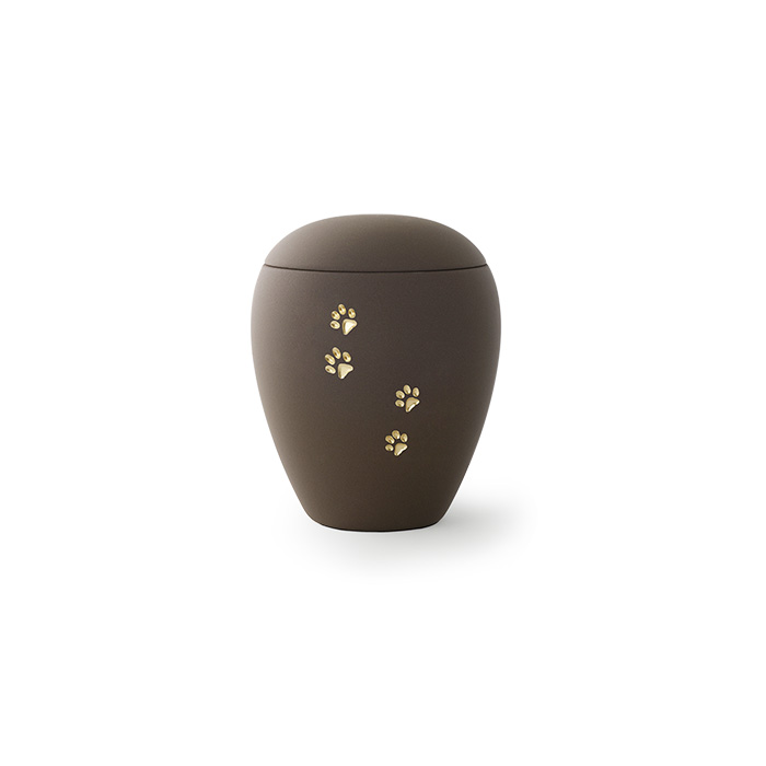 Cliquer pour agrandir l'image